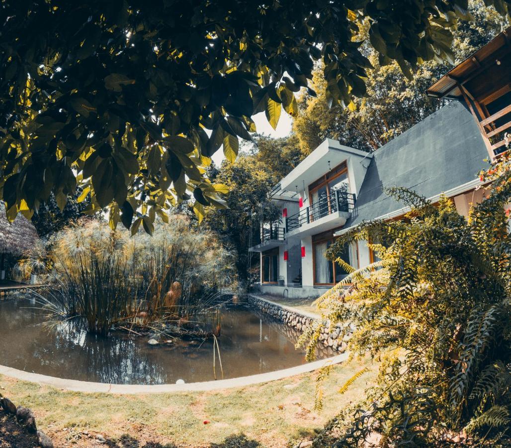 Tagua Lodge Tena Dış mekan fotoğraf
