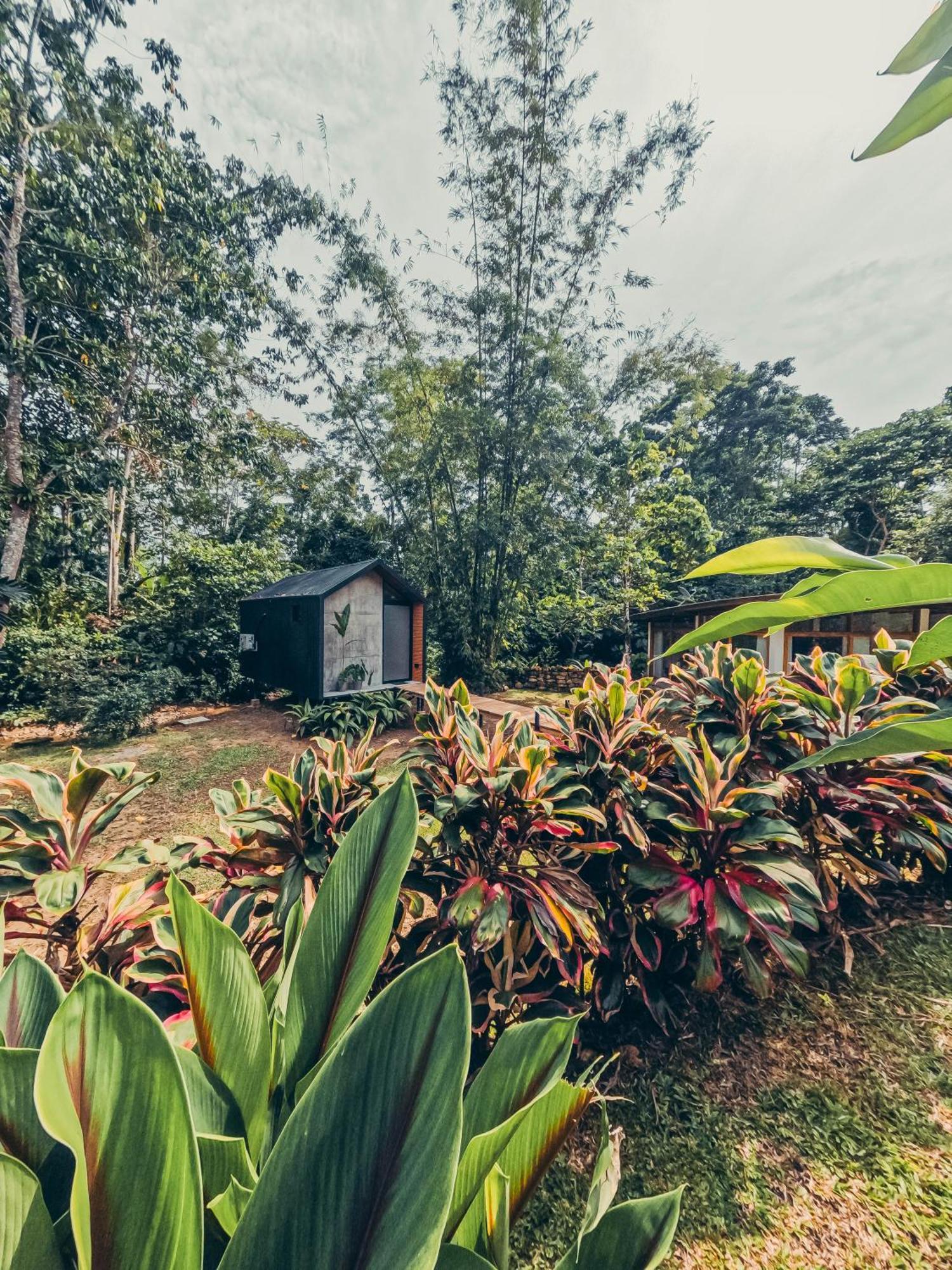 Tagua Lodge Tena Dış mekan fotoğraf