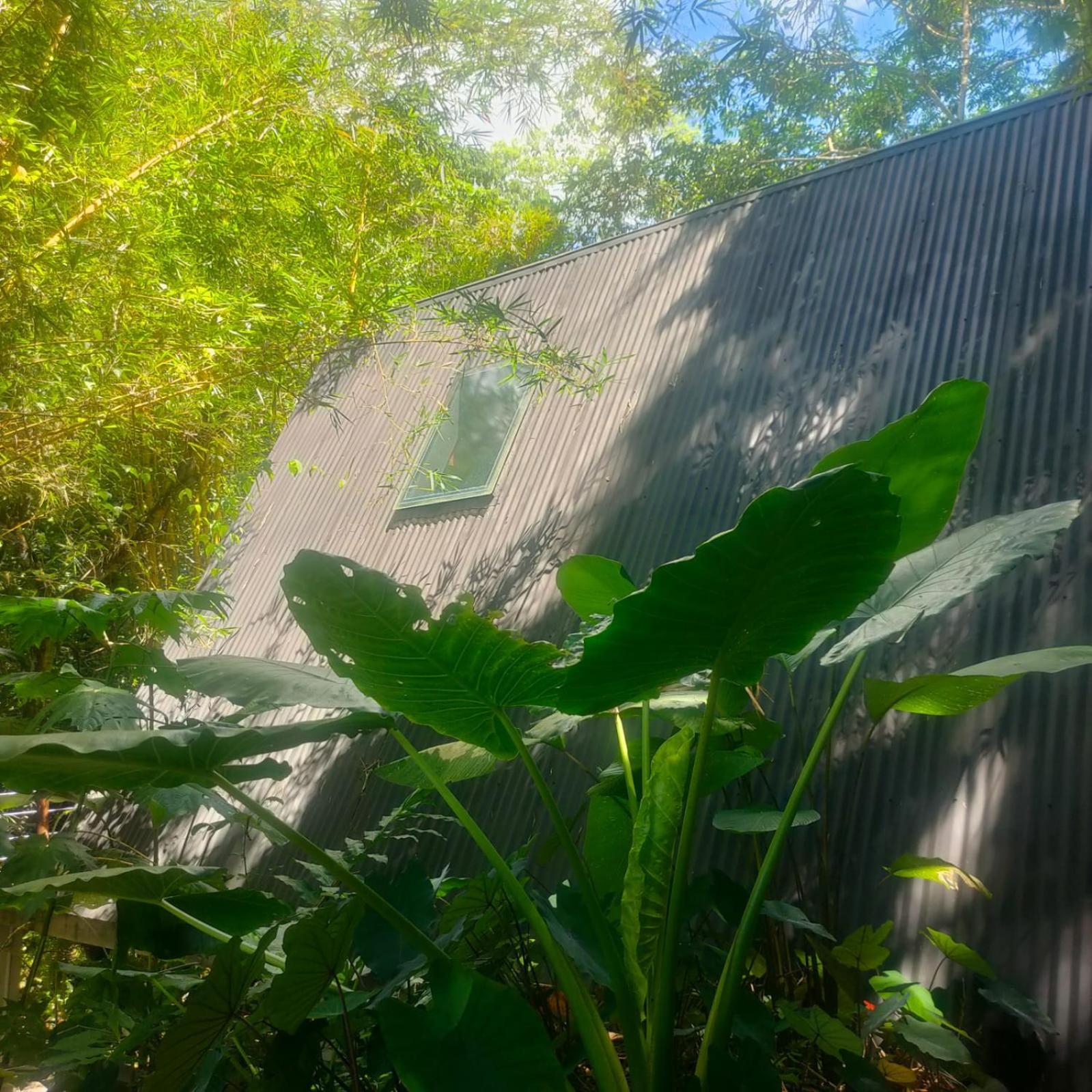 Tagua Lodge Tena Dış mekan fotoğraf