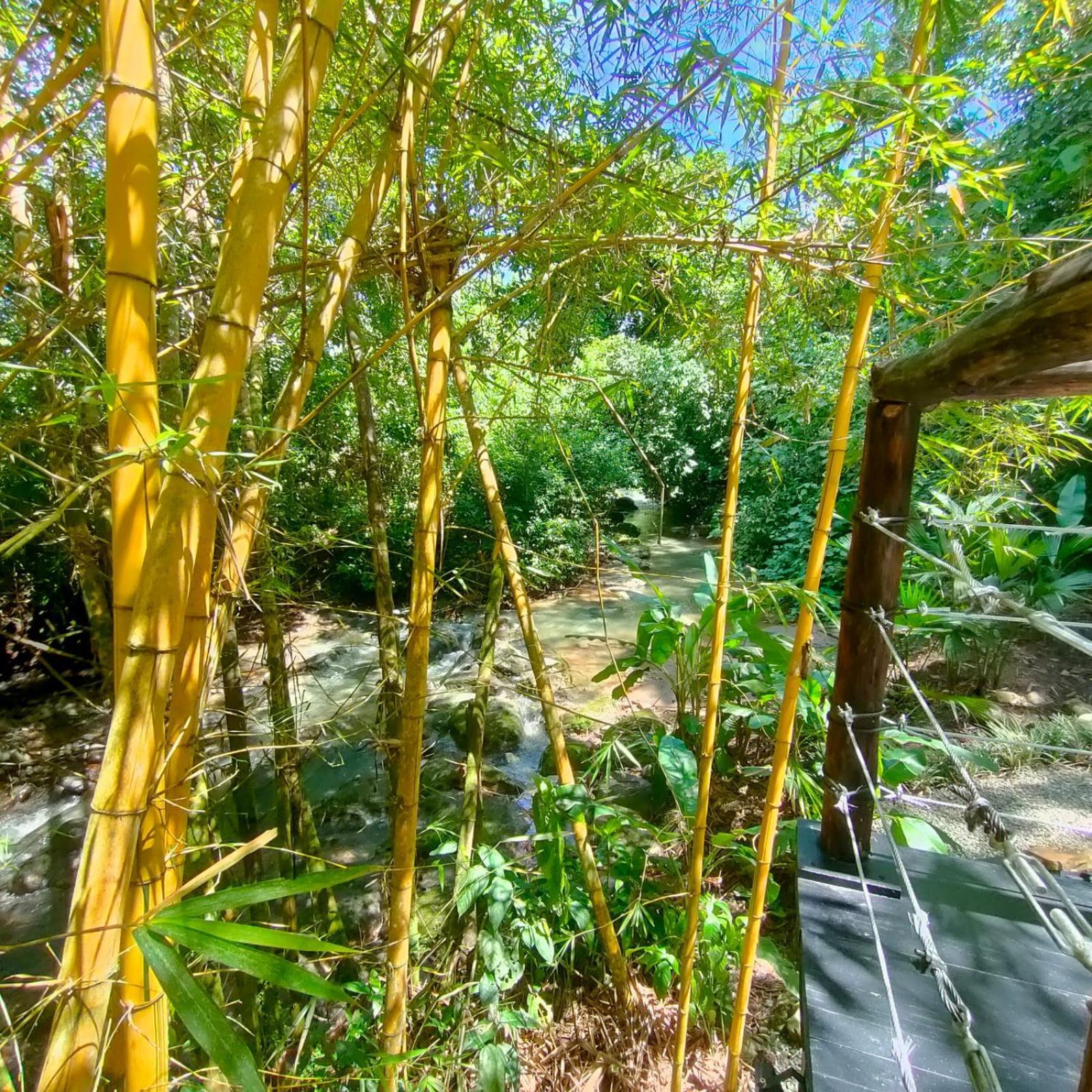 Tagua Lodge Tena Dış mekan fotoğraf