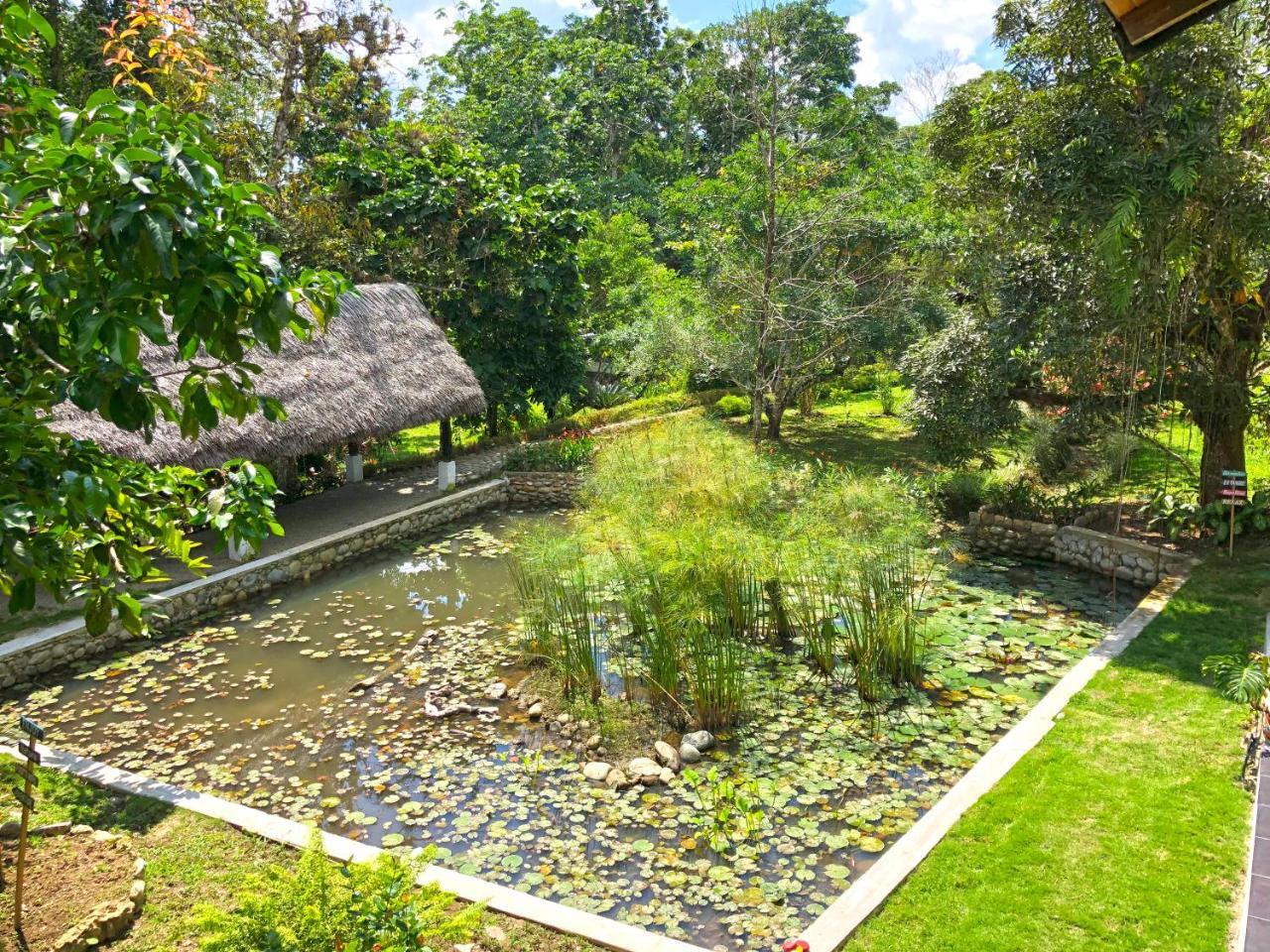 Tagua Lodge Tena Dış mekan fotoğraf